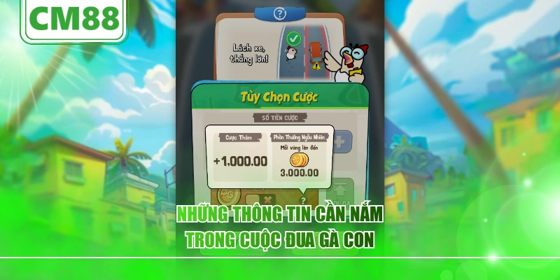 Những thông tin cần nắm trong cuộc đua gà con